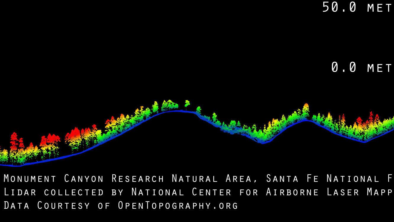 New study: Mountain forests store carbon better than flatland forests